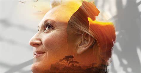 �ൺ������